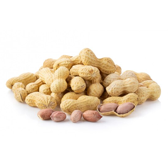 Protein